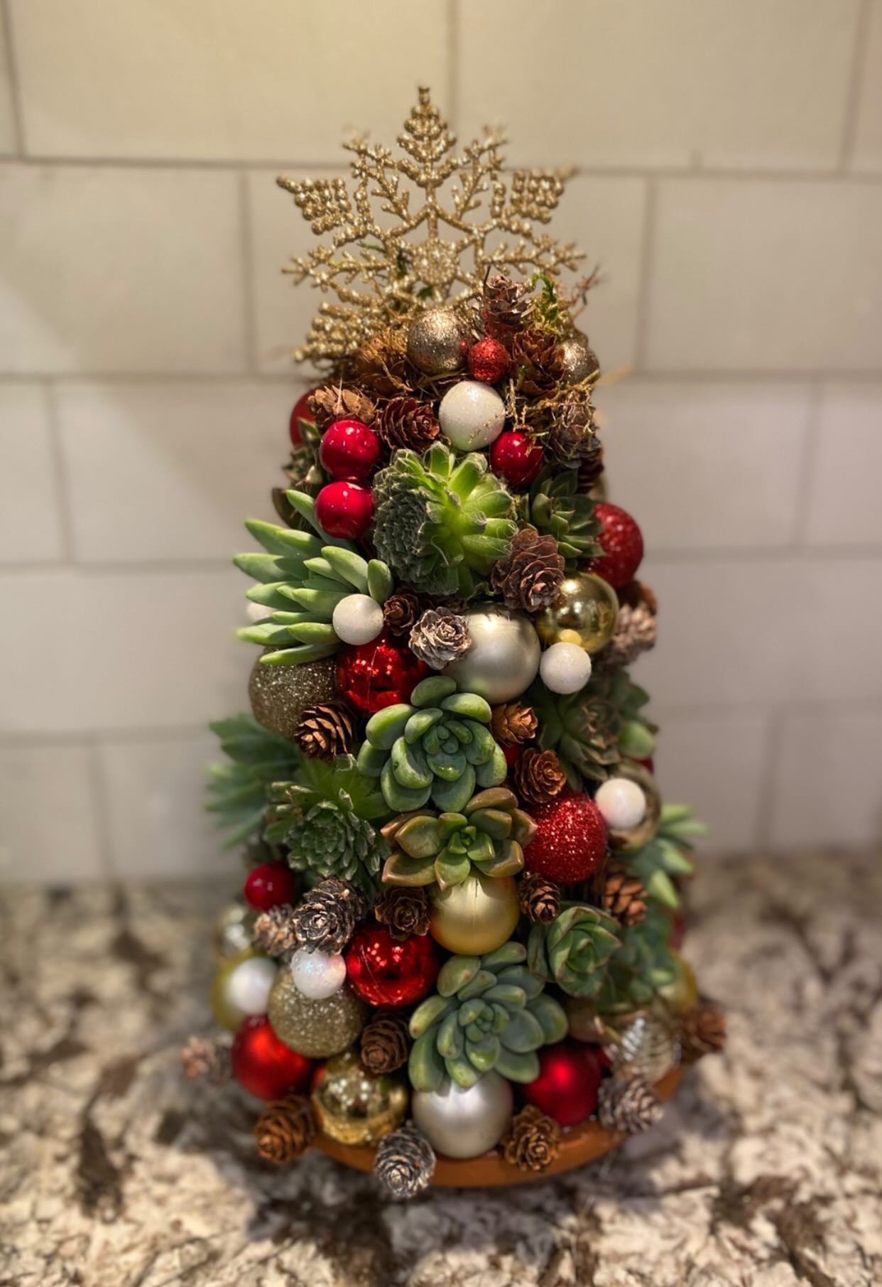 Christmas Tree DIY Succulent Workshop!